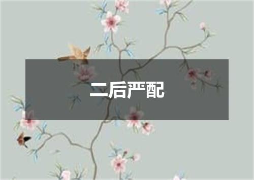 二后严配