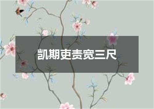 凯期吏责宽三尺