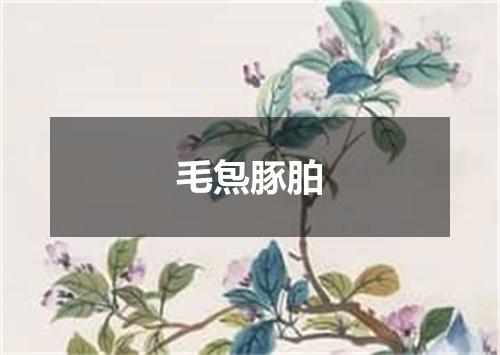 毛炰豚胉