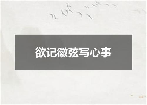 欲记徽弦写心事