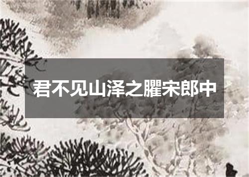 君不见山泽之臞宋郎中