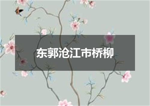 东郭沧江市桥柳