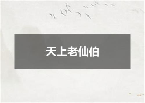天上老仙伯