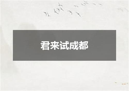 君来试成都