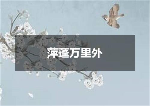 萍蓬万里外