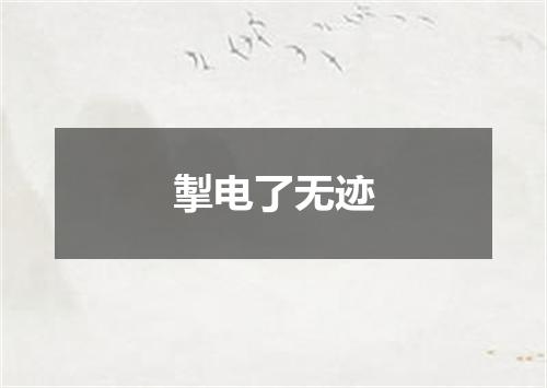 掣电了无迹