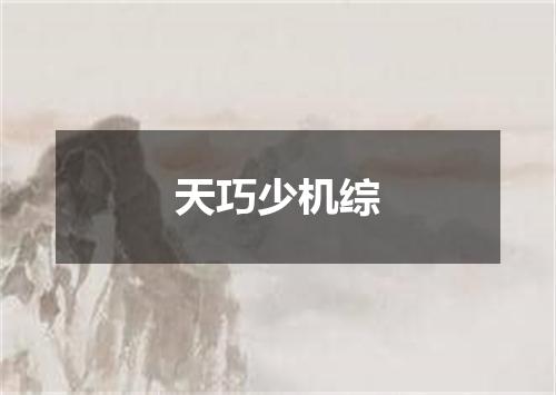 天巧少机综