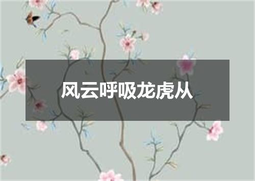 风云呼吸龙虎从