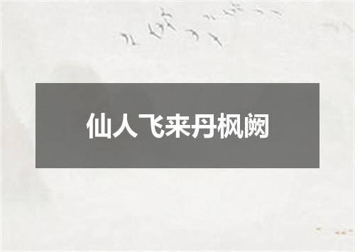 仙人飞来丹枫阙