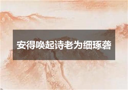 安得唤起诗老为细琢砻