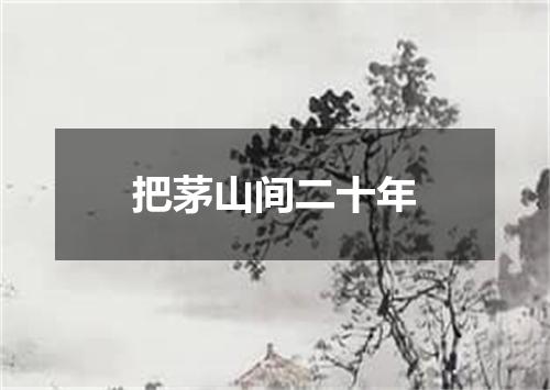 把茅山间二十年