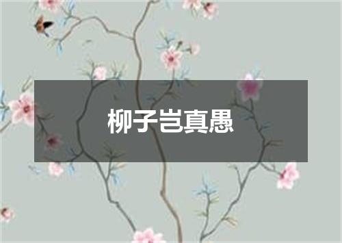 柳子岂真愚