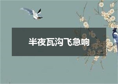 半夜瓦沟飞急响
