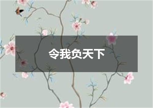 令我负天下