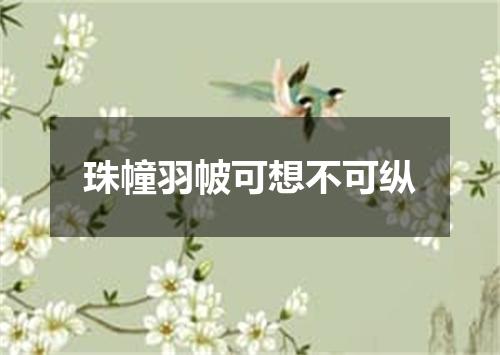 珠幢羽帔可想不可纵