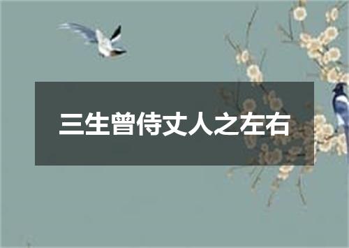 三生曾侍丈人之左右