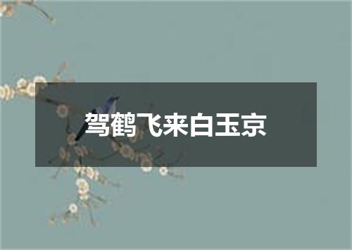 驾鹤飞来白玉京