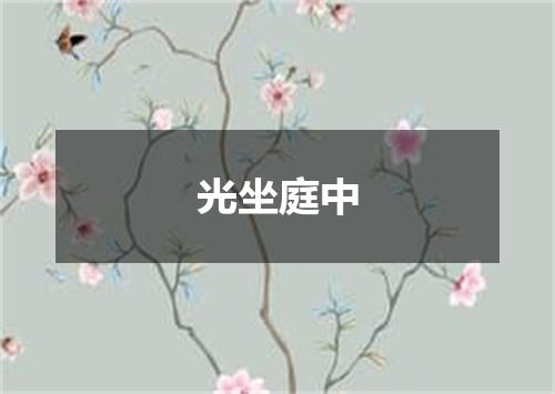 光坐庭中