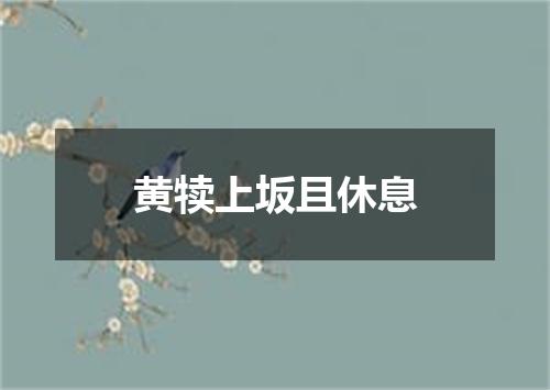 黄犊上坂且休息