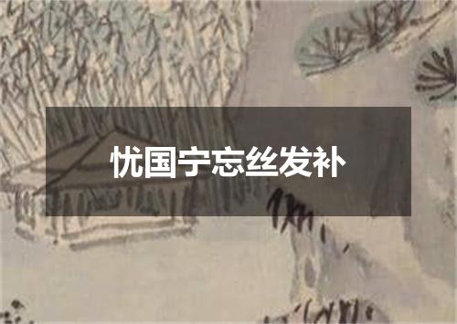 忧国宁忘丝发补