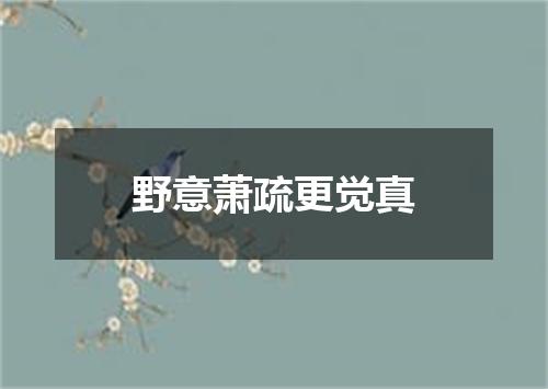 野意萧疏更觉真