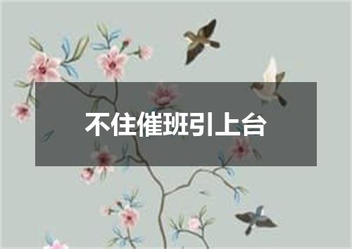 不住催班引上台