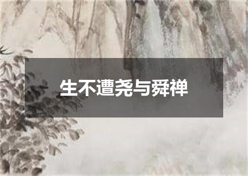 生不遭尧与舜禅