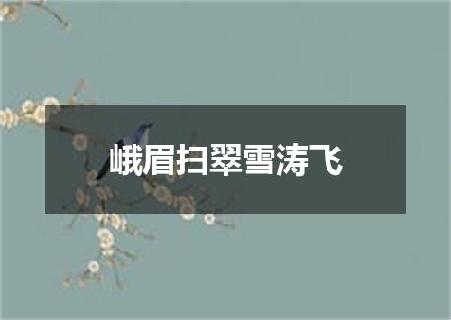 峨眉扫翠雪涛飞
