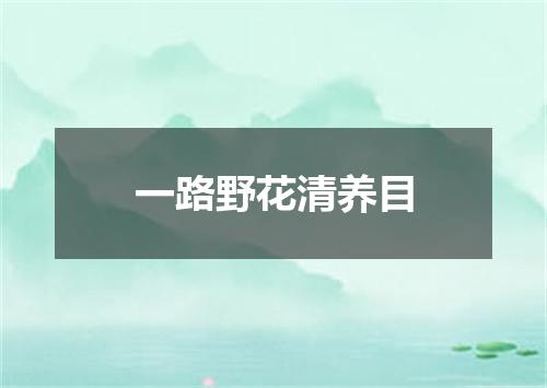 一路野花清养目