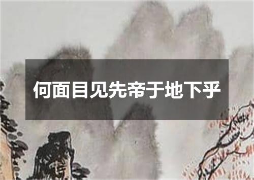 何面目见先帝于地下乎