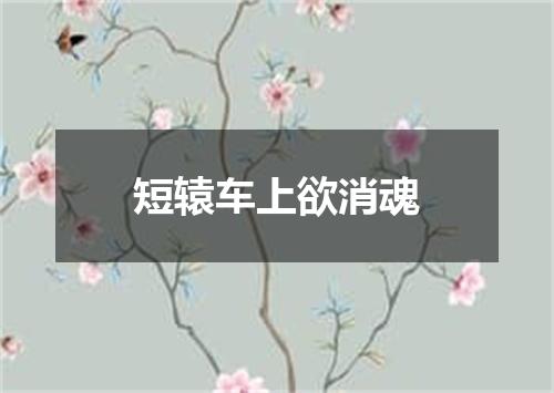 短辕车上欲消魂