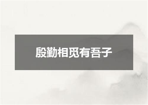 殷勤相觅有吾子