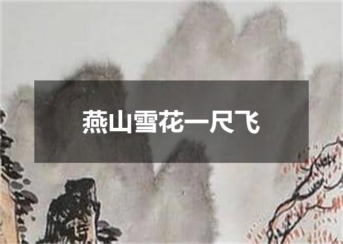 燕山雪花一尺飞