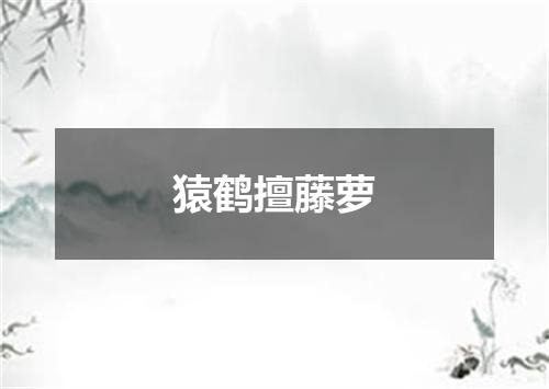 猿鹤擅藤萝