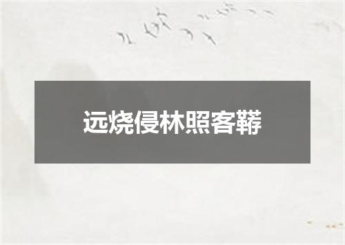 远烧侵林照客鞯