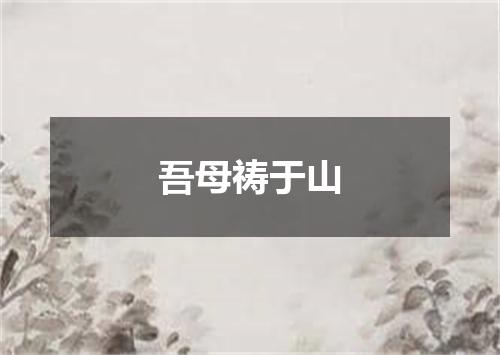 吾母祷于山