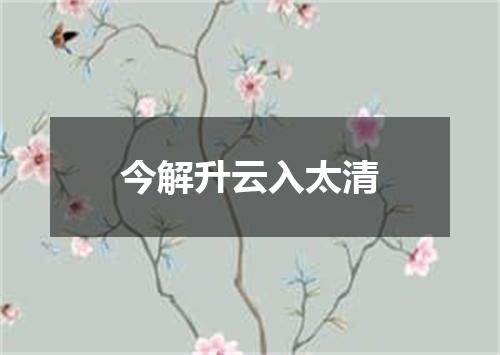 今解升云入太清