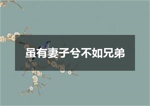 虽有妻子兮不如兄弟