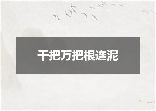 千把万把根连泥