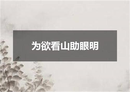 为欲看山助眼明