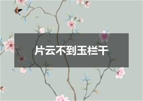 片云不到玉栏干