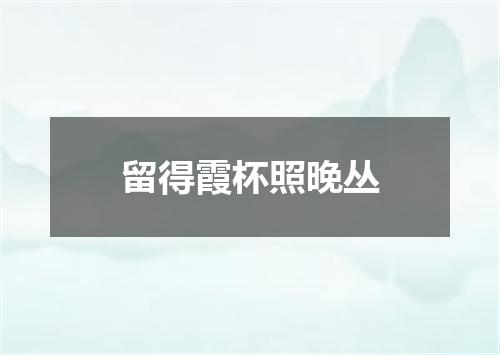 留得霞杯照晚丛
