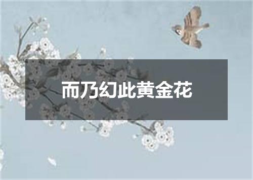 而乃幻此黄金花