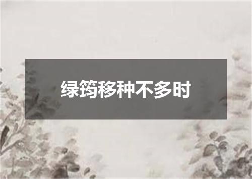 绿筠移种不多时