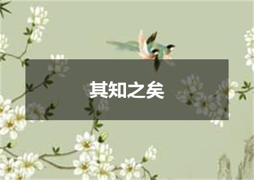 其知之矣