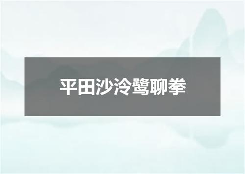 平田沙泠鹭聊拳
