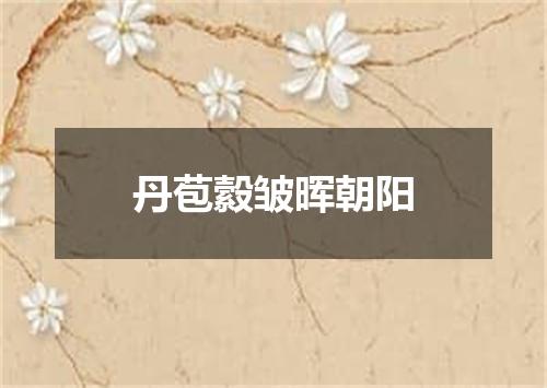 丹苞縠皱晖朝阳