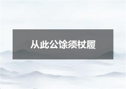 从此公馀须杖履