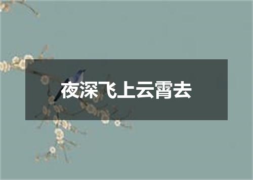 夜深飞上云霄去