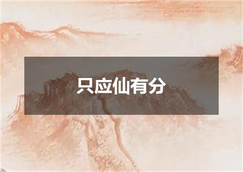 只应仙有分